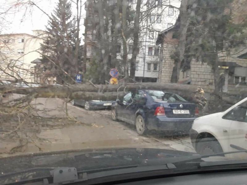 Olujni vjetrovi u Zvorniku lomili drveće, uništena dva automobila