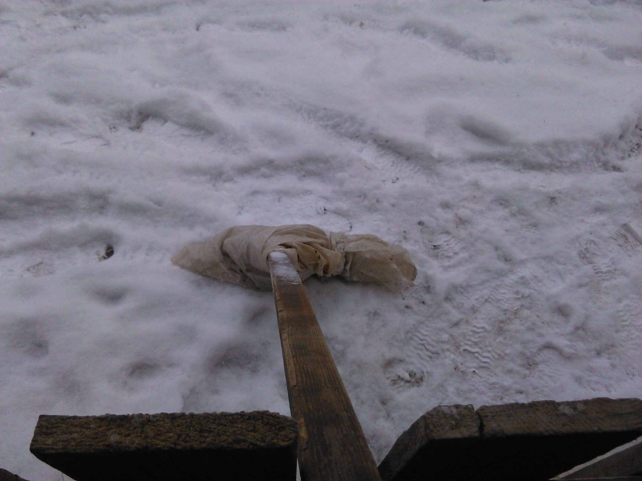 Korisni savjeti: Spasite plastenike, ne dopustite da ih snijeg uništi!