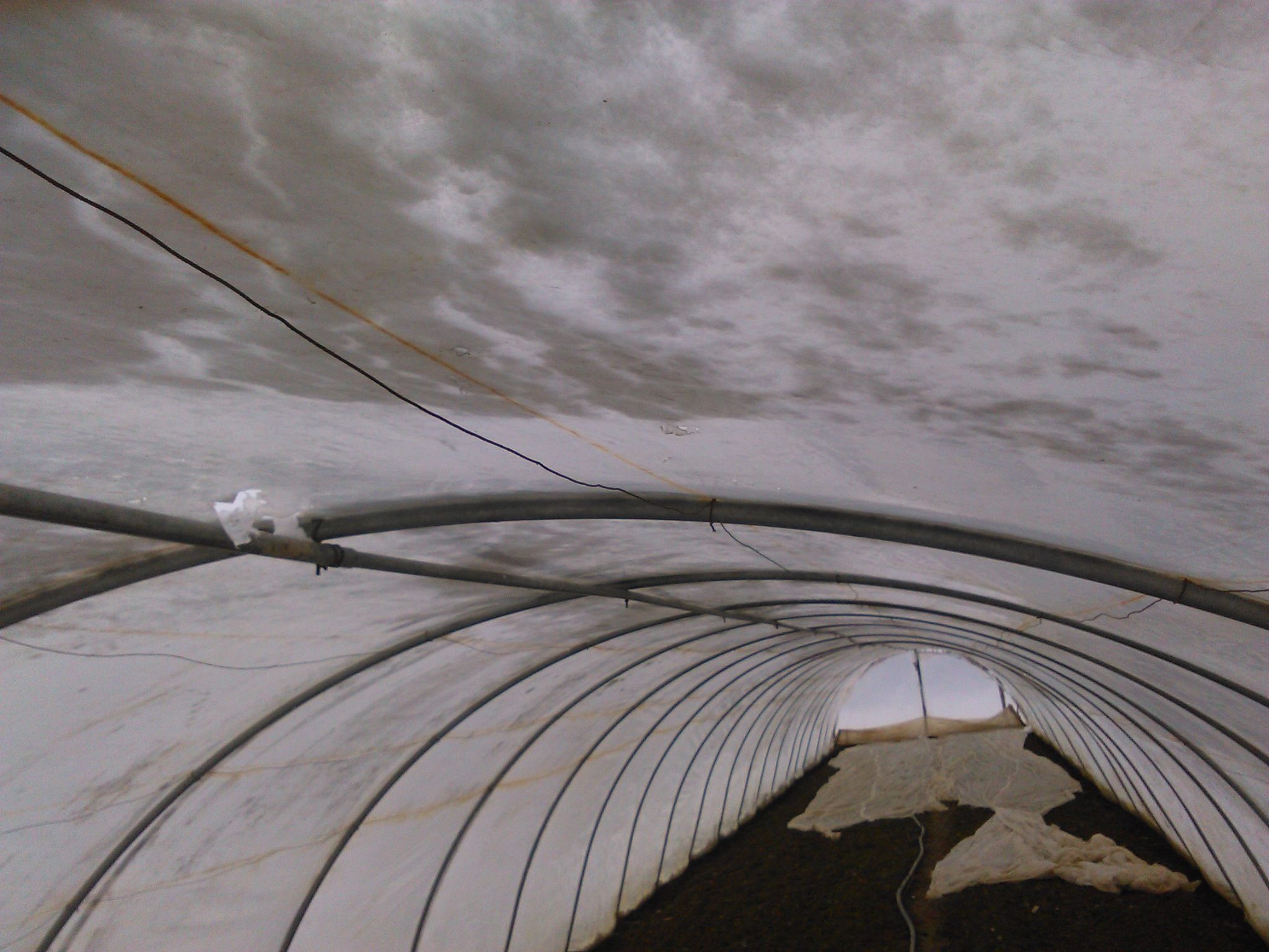 Korisni savjeti: Spasite plastenike, ne dopustite da ih snijeg uništi!