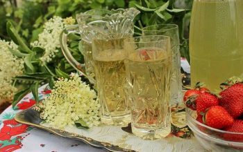 Mevlijin recept za pripremu sirupa od zove (VIDEO)