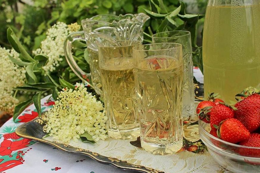 Mevlijin recept za pripremu sirupa od zove (VIDEO)