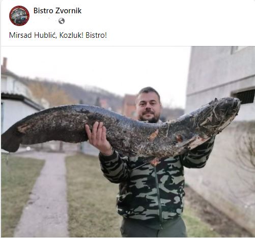 Mirsad Hublić upecao soma od 15 kilograma na Drini kod Kozluka (FOTO)
