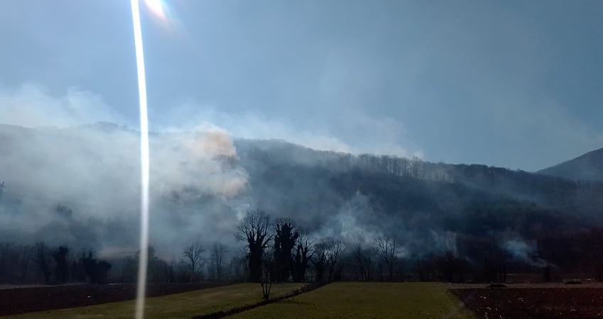 Požar zahvatio ogromne površine šume kod Konjević Polja (FOTO)