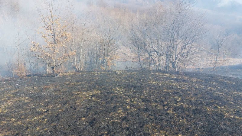Požarna linija u Kamenici duga 10 kilometara, gore šume u Jusićima i kod Klise (FOTO)