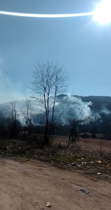 Požar zahvatio ogromne površine šume kod Konjević Polja (FOTO)