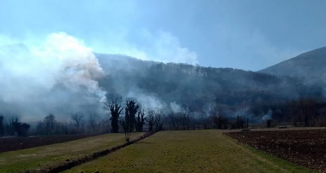 Požar zahvatio ogromne površine šume kod Konjević Polja (FOTO)