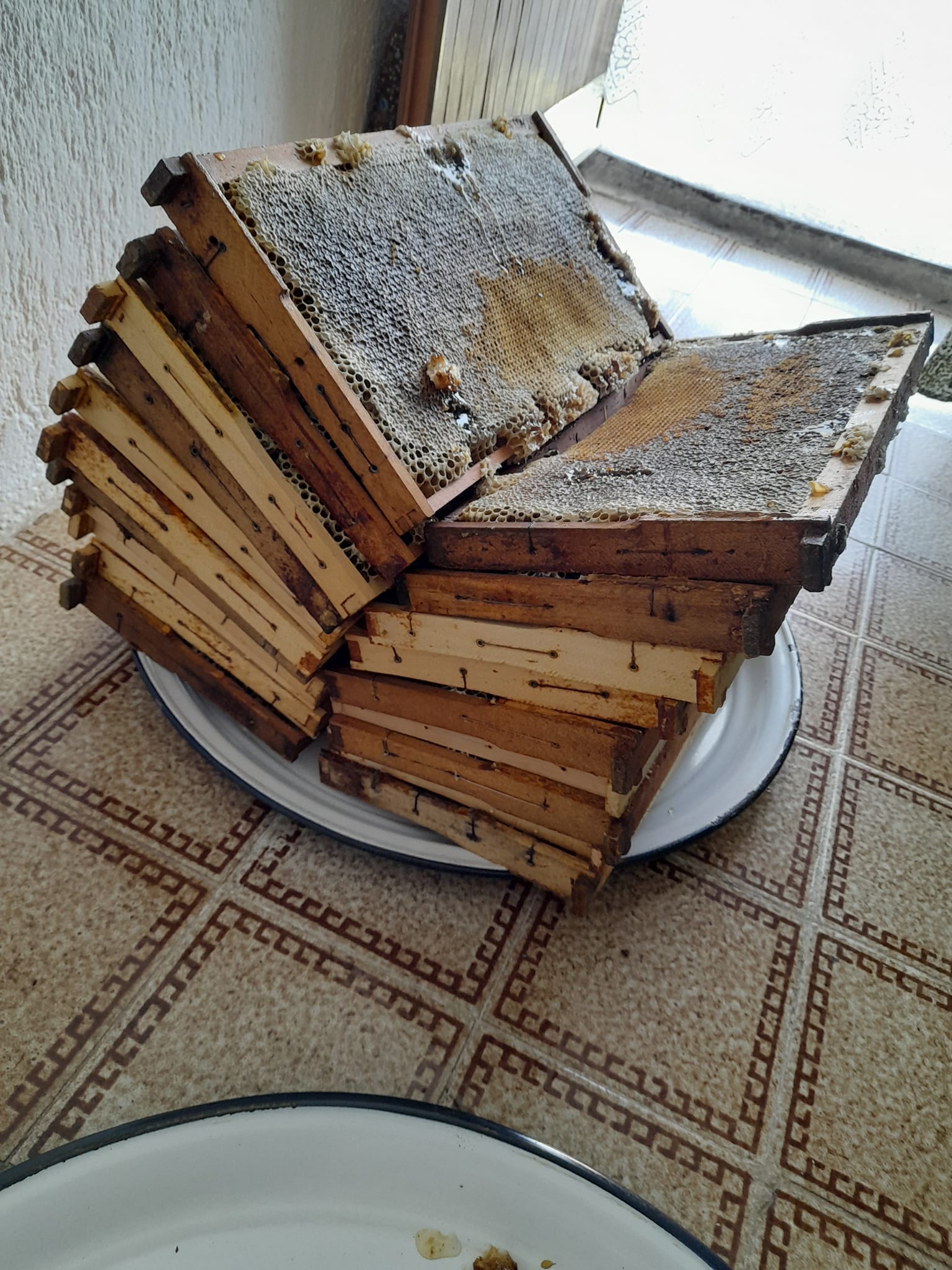 Zvornički pčelari zadovoljni: Prinos bagremovog meda veći od 10 kilograma po košnici (FOTO)