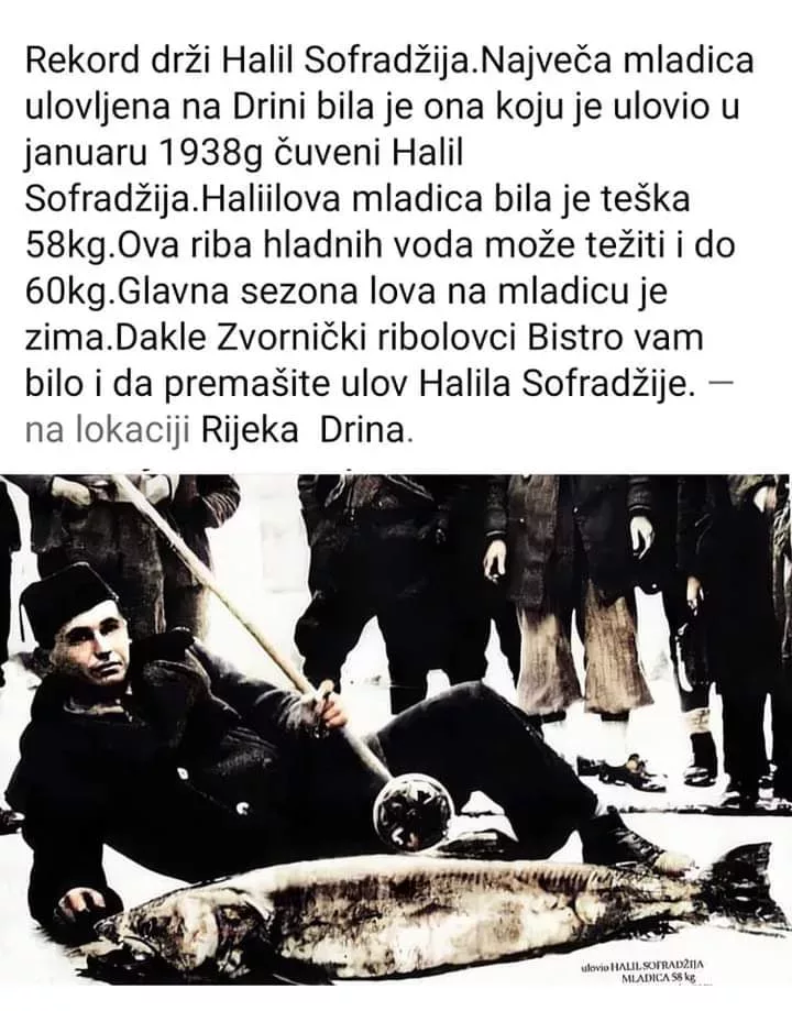 Halil Sofradžija prije 85 godina ulovio najveću mladicu svih vremena na rijeci Drini (FOTO)