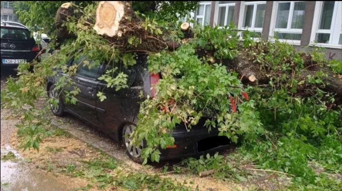 Danas narandžasti meteoalarm za cijelu BiH, olujni vjetar u Tuzli srušio stablo na automobil (FOTO)