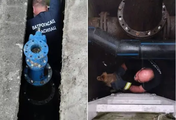 Bratunački vatrogasci spašavali psa zaglavljenog u okno (FOTO)