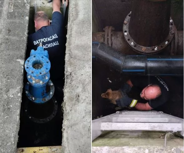Bratunački vatrogasci spašavali psa zaglavljenog u okno (FOTO)