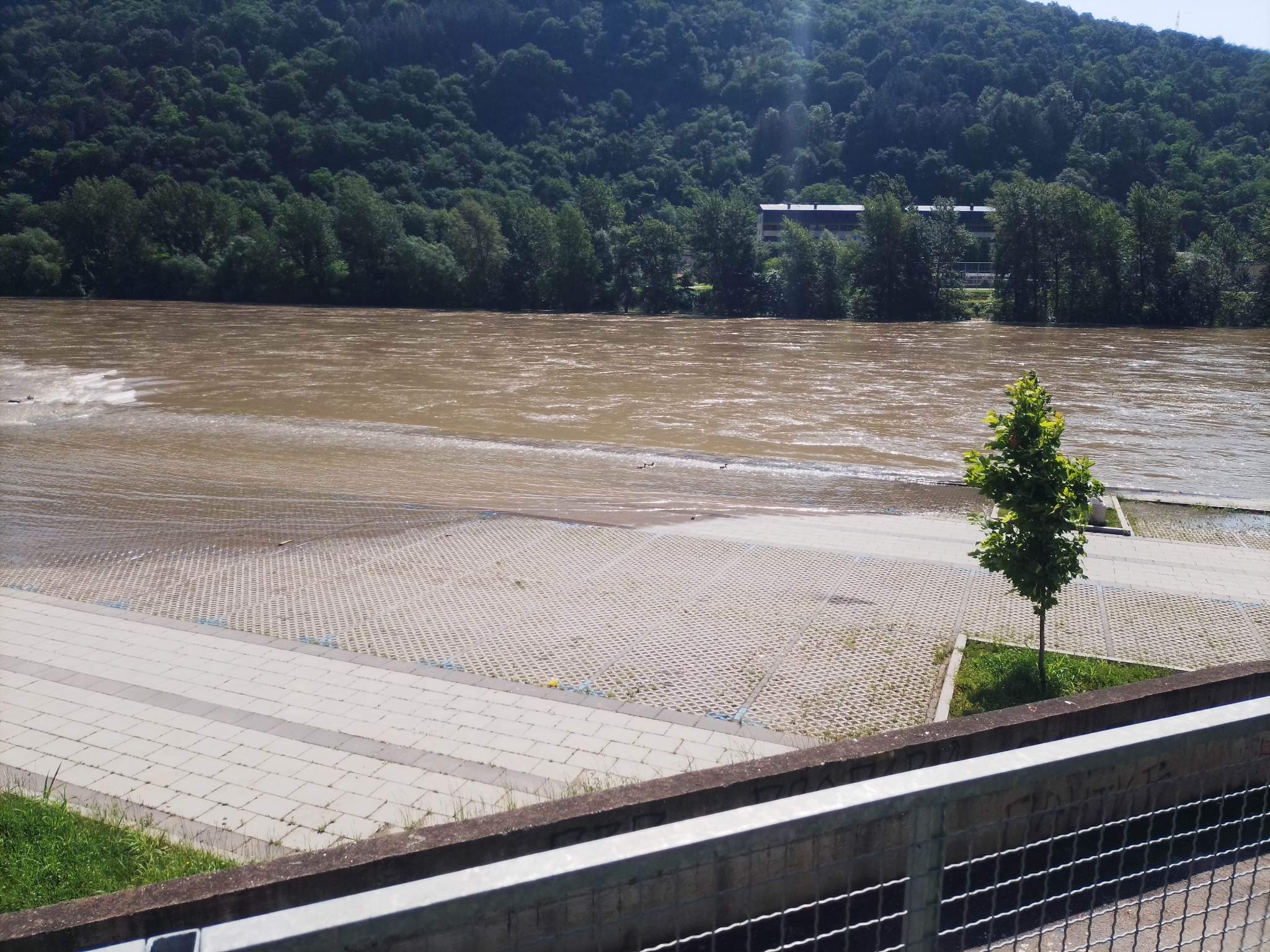 Drina se povlači u korito, patke umjesto automobila na parkingu na obali u Zvorniku (FOTO)