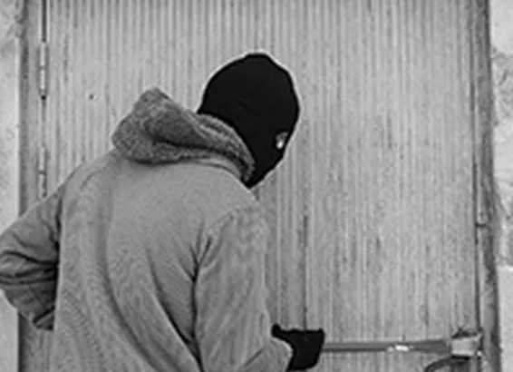 Provala u pomoćni objekat kod Milića: Ukradena kosačica