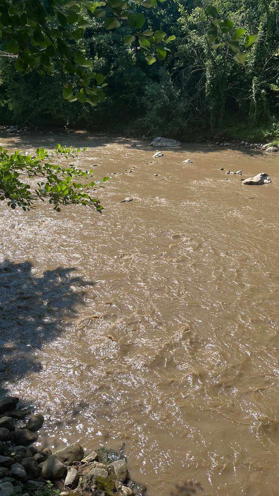 Ekološka katastrofa u rijeci Drinjači kroz zvorničko naselje Glodi(FOTO)
