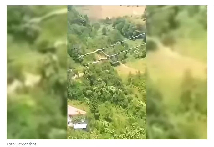 Anes snimio zmiju dugačku nekoliko metara kako se uvija na žicama dalekovoda u gornjem dijelu Podrinja (VIDEO)