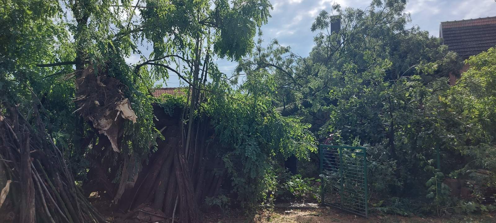 Radnici kompanije "Elektro-Bijeljina" dan i noć na terenu popravljaju kvarove u Podrinju i Semberiji (FOTO)