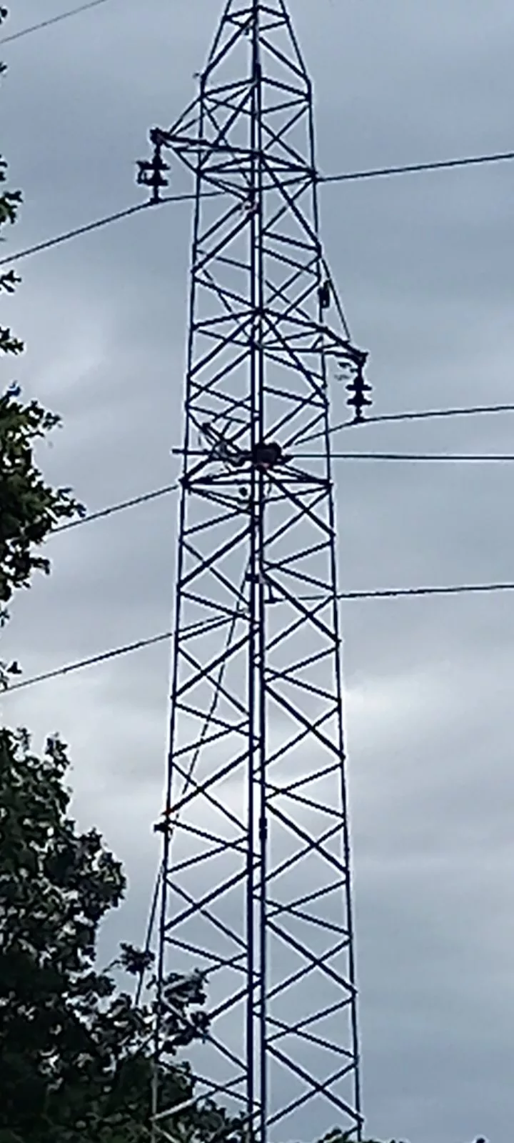 Radnici kompanije "Elektro-Bijeljina" dan i noć na terenu popravljaju kvarove u Podrinju i Semberiji (FOTO)