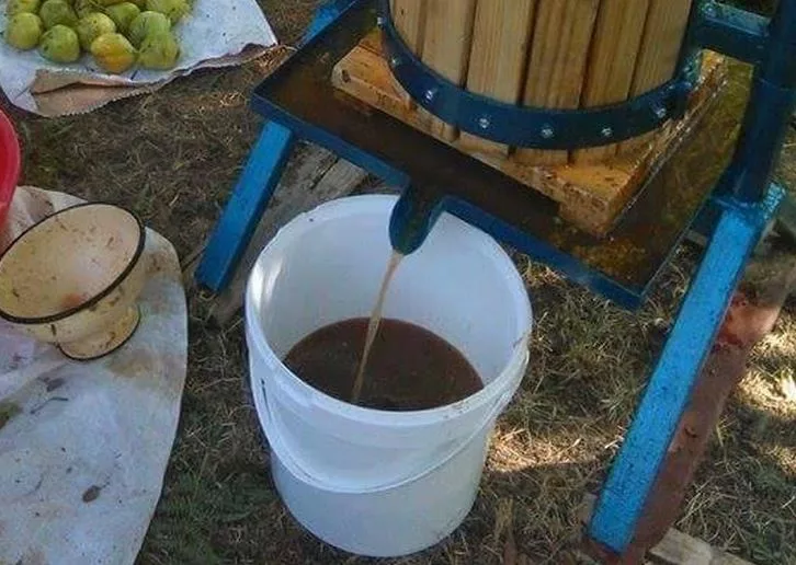 Bestilj ili pekmez od šljiva, poslastica specifična za Podrinje, slatko koje može i bez šećera (FOTO)