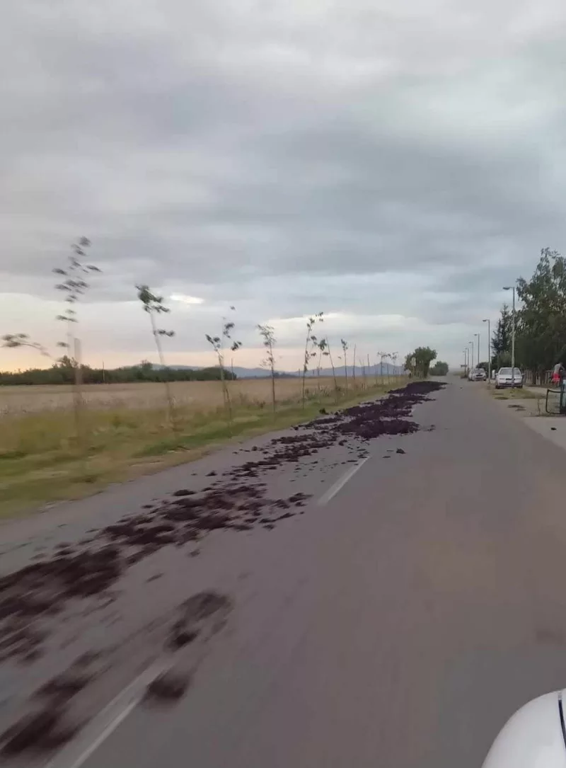 Ulica u centru Bijeljine zatrpana stajskim đubrivom (FOTO)