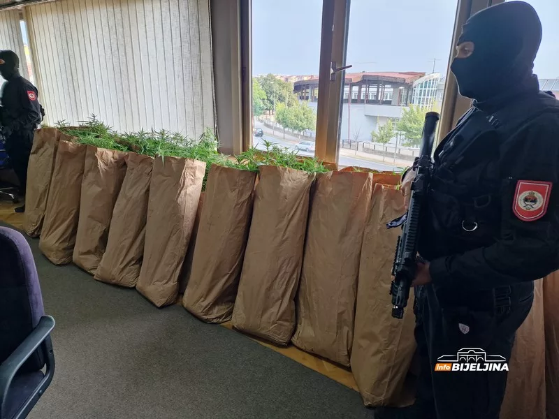 Zaplijenjeno 172 kilograma droge u Loparama (FOTO)