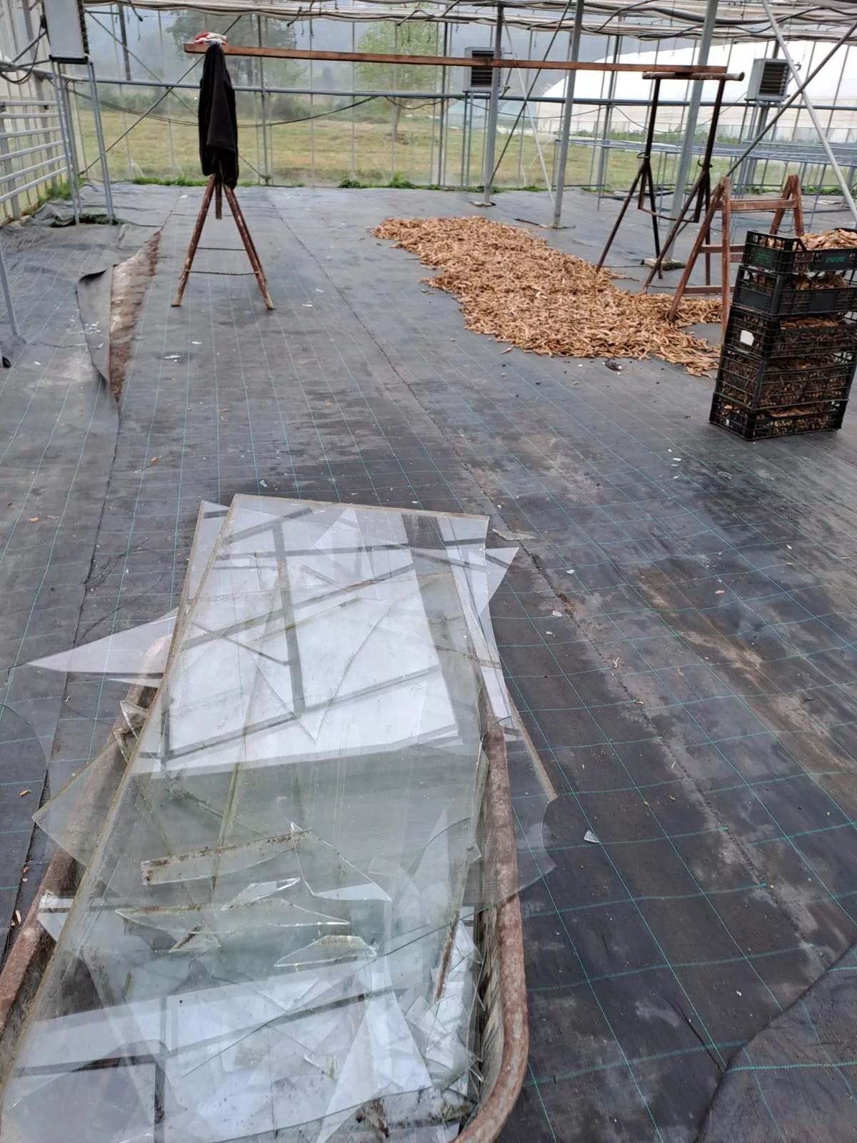 Olujno nevrijeme i led poharali Bratunac, Srebrenicu i Miliće, oštećeni staklenici i plastenici zadruge "Agrofood" u Konjević Polju (FOTO+VIDEO)
