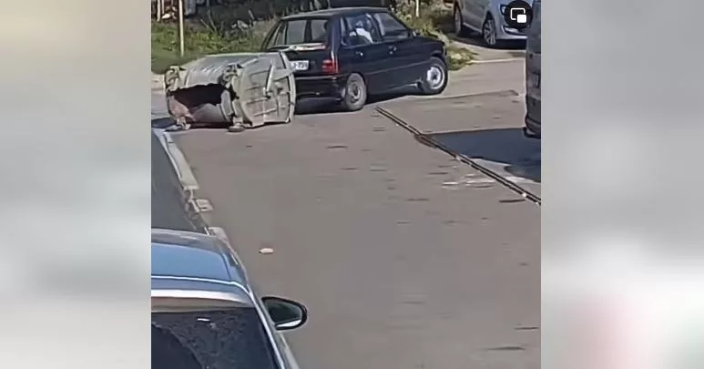Scene iz kultne “Žikine dinastije” ukazale se u centru Kalesije (VIDEO)