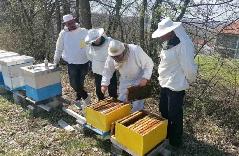 Aprilski plan za jake pčelinjake: Kako formirati rane rojeve, spriječiti rojidbu i dobiti kvalitetne matice – savjeti Aleksandre Đorđević