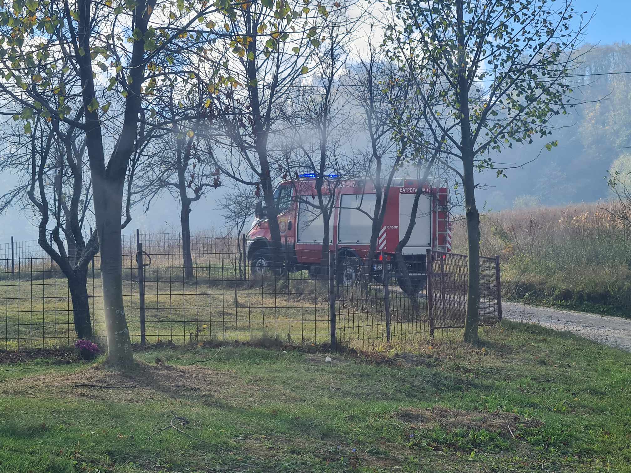 Ogroman požar na području Snagova, gore šume, vatra se širi prema kućama (FOTO)