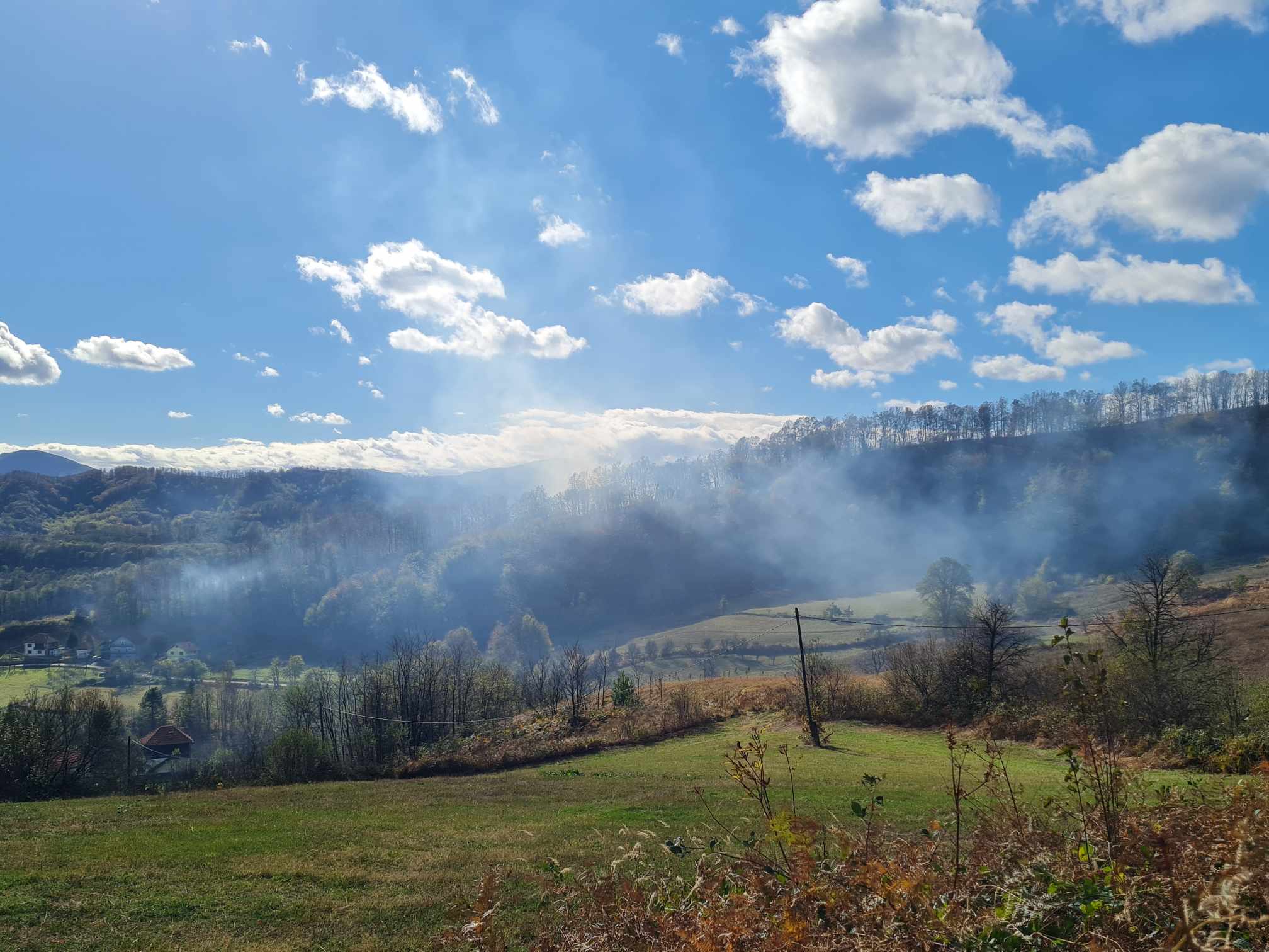 Ogroman požar na području Snagova, gore šume, vatra se širi prema kućama (FOTO)