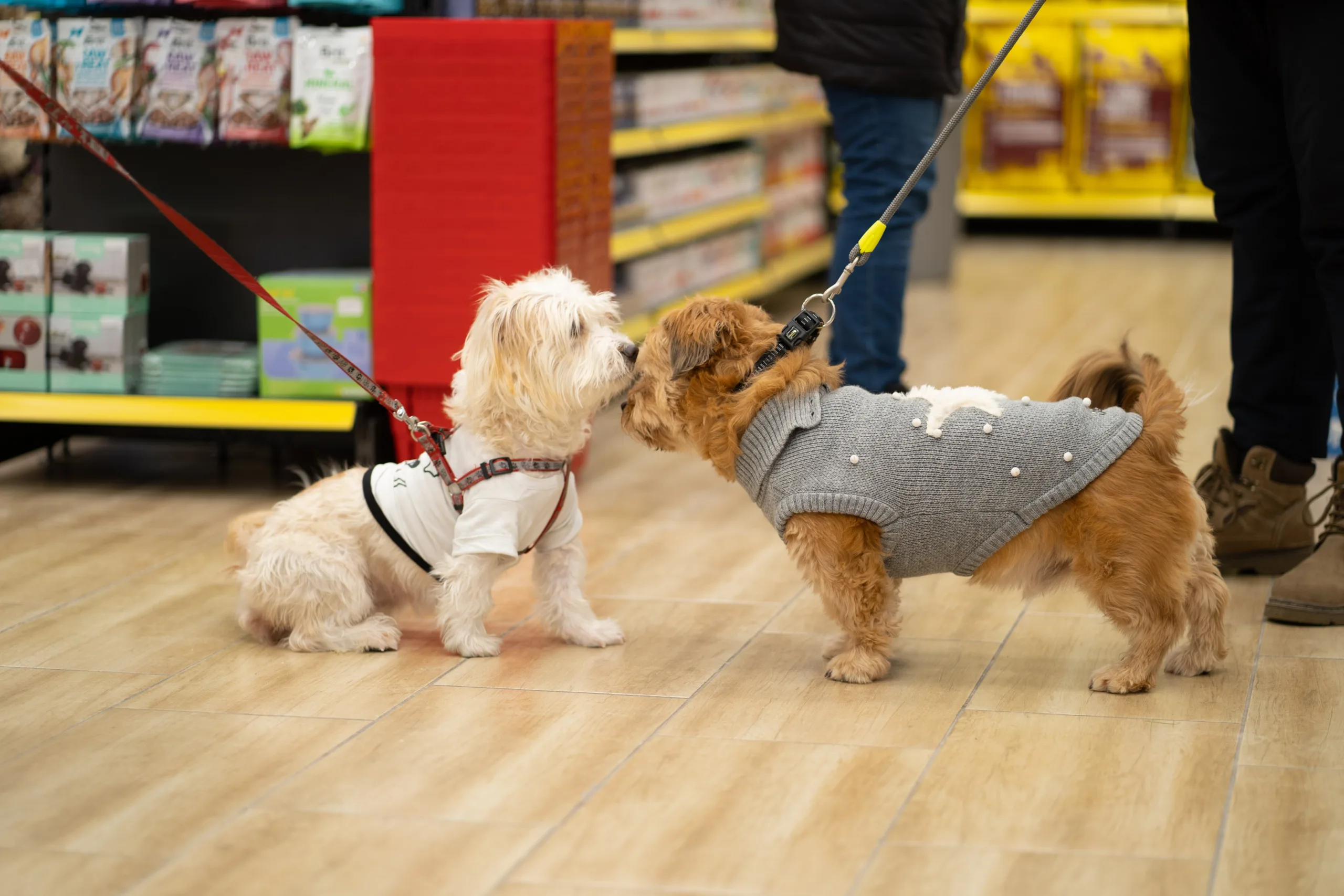 PET CITY OTVARA SVOJU 17. POSLOVNICU U ZVORNIKU (FOTO)