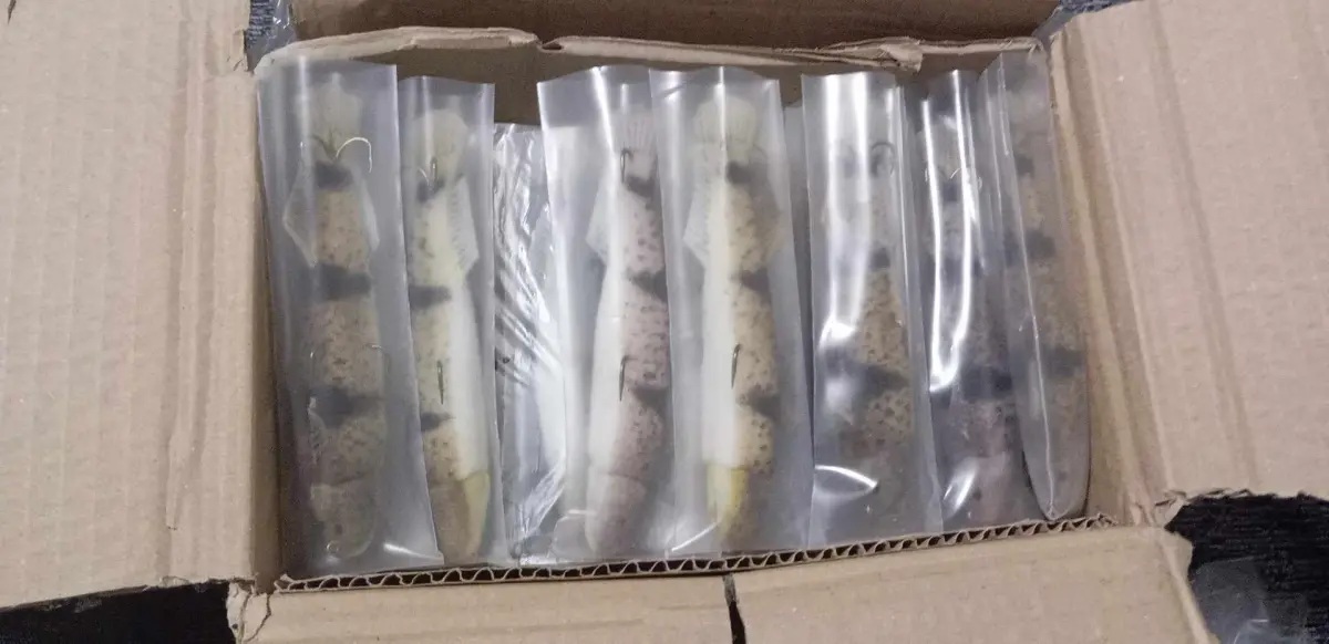 Ribolovci iz Češke za jedan dan ulovili tri mladice, sve ribe uredno vraćene u Drinu (FOTO+VIDEO)