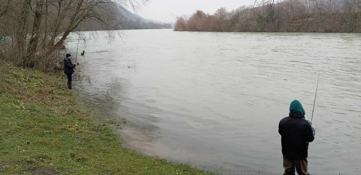 Ribolovci iz Češke za jedan dan ulovili tri mladice, sve ribe uredno vraćene u Drinu (FOTO+VIDEO)
