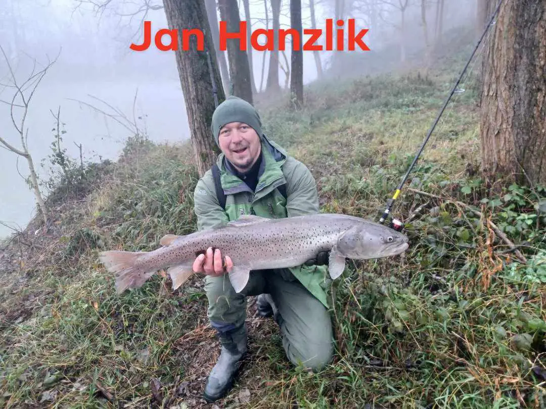 Ribolovci iz Češke za jedan dan ulovili tri mladice, sve ribe uredno vraćene u Drinu (FOTO+VIDEO)