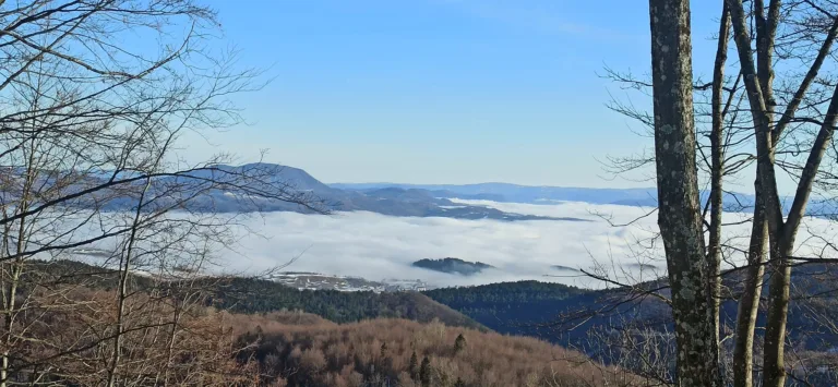 Sutra tradicionalni „Pohod u Pjenovac“