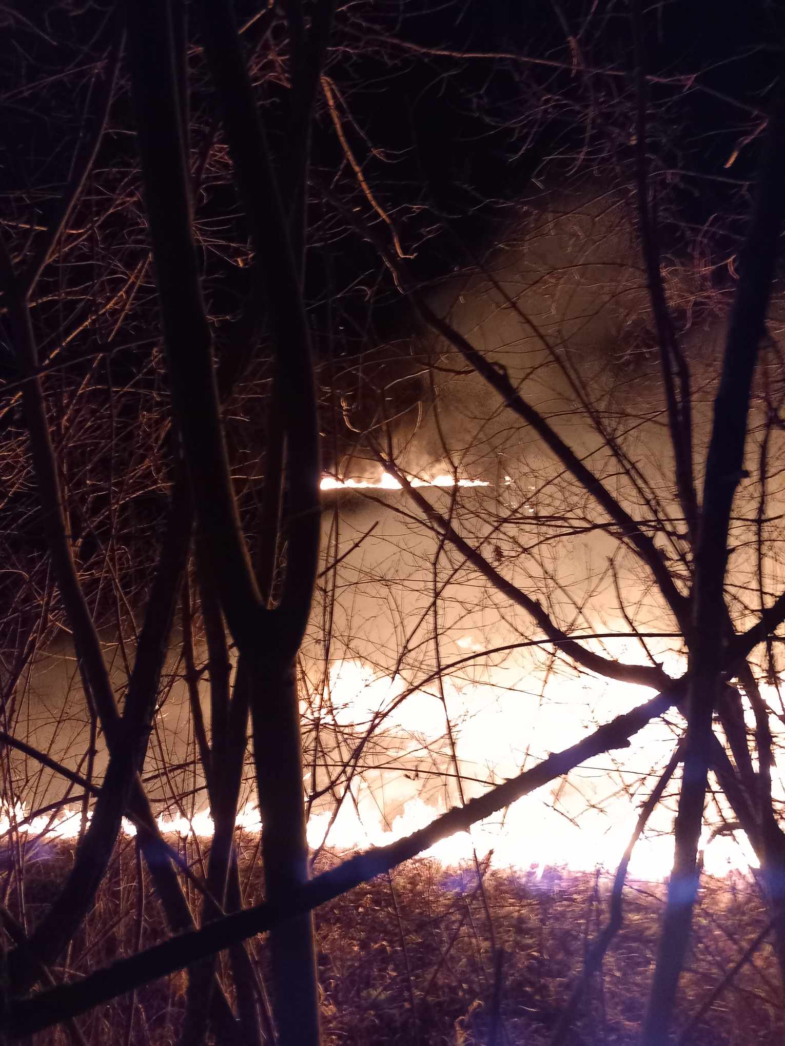 Danas devet požara na području Zvornika, na Branjevu gorijela kuća, vatrogasci gasili vatru od Kamenice do Pilice i u noćnim satima ugasili požar kod Đulića (FOTO)