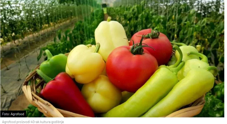 Rekordan otkup povrća u RS: Više od 43.000 tona, slabija godina za voćarstvo