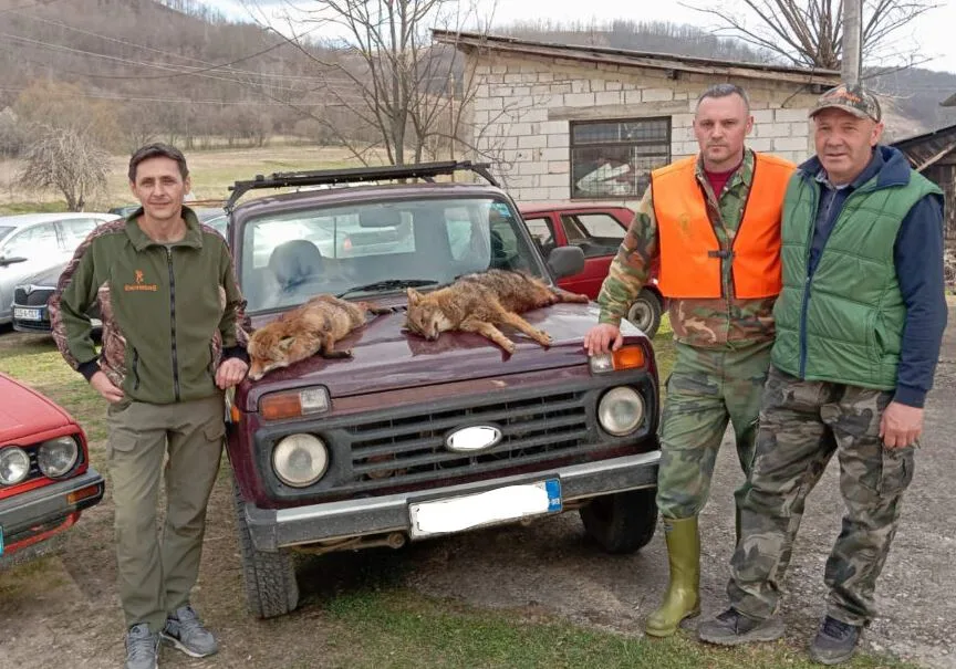 Više od 400 lovaca lovilo vuka kod Milića, ustrijelili dva šakala i lisicu (FOTO)