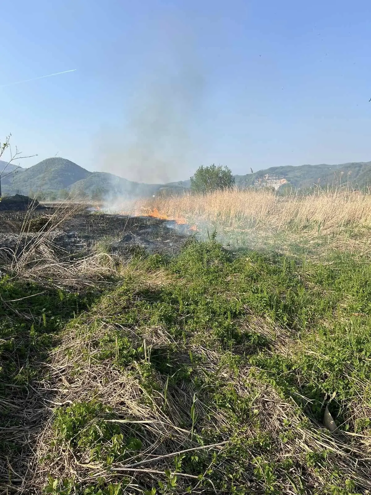 Neodgovrni pojedinci izazvali požar u blizini pilane, brza intervencija vatrogasaca spriječila katastrofu (FOTO)