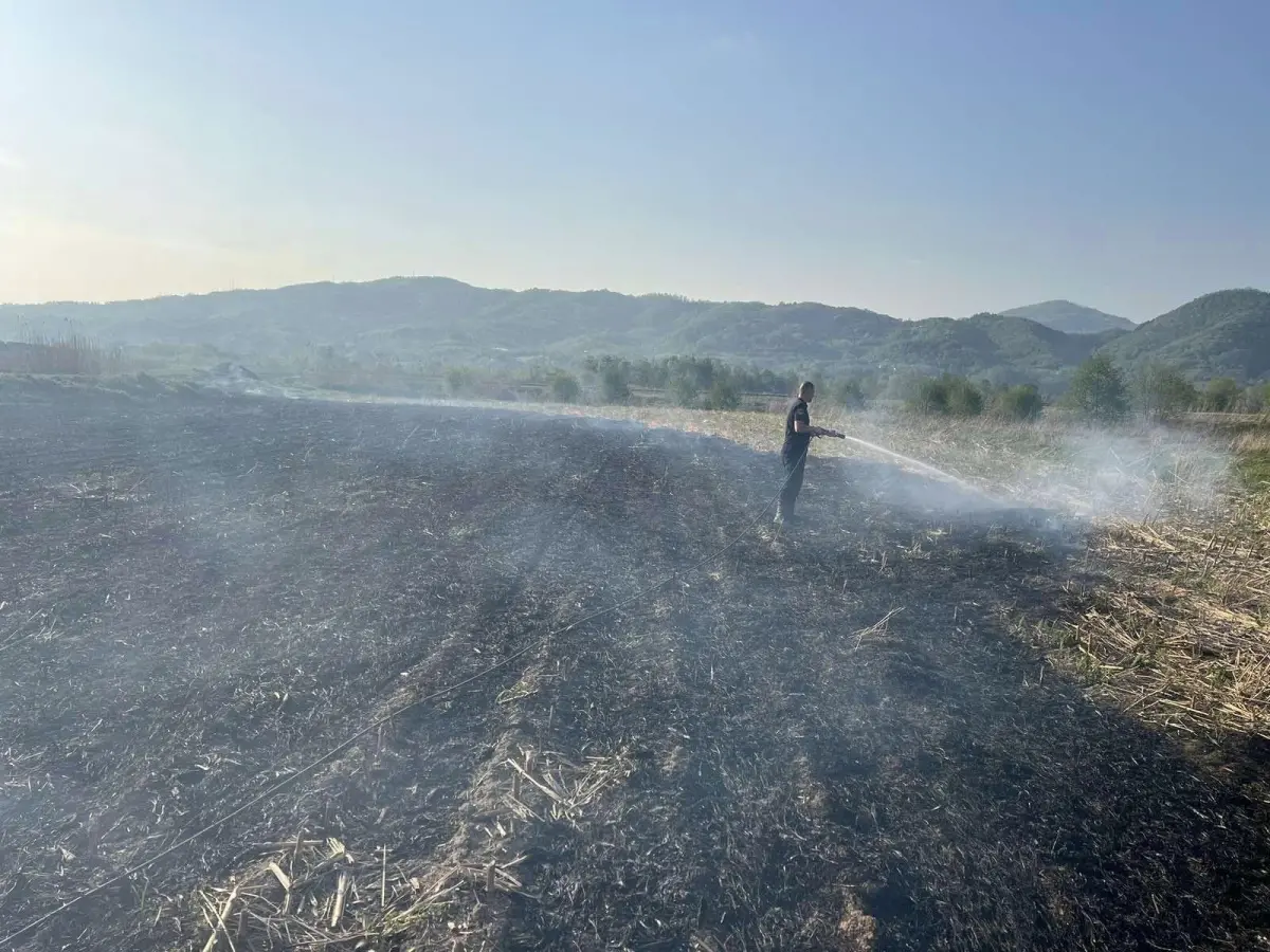 Neodgovrni pojedinci izazvali požar u blizini pilane, brza intervencija vatrogasaca spriječila katastrofu (FOTO)