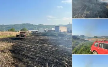 Neodgovrni pojedinci izazvali požar u blizini pilane, brza intervencija vatrogasaca spriječila katastrofu (FOTO)