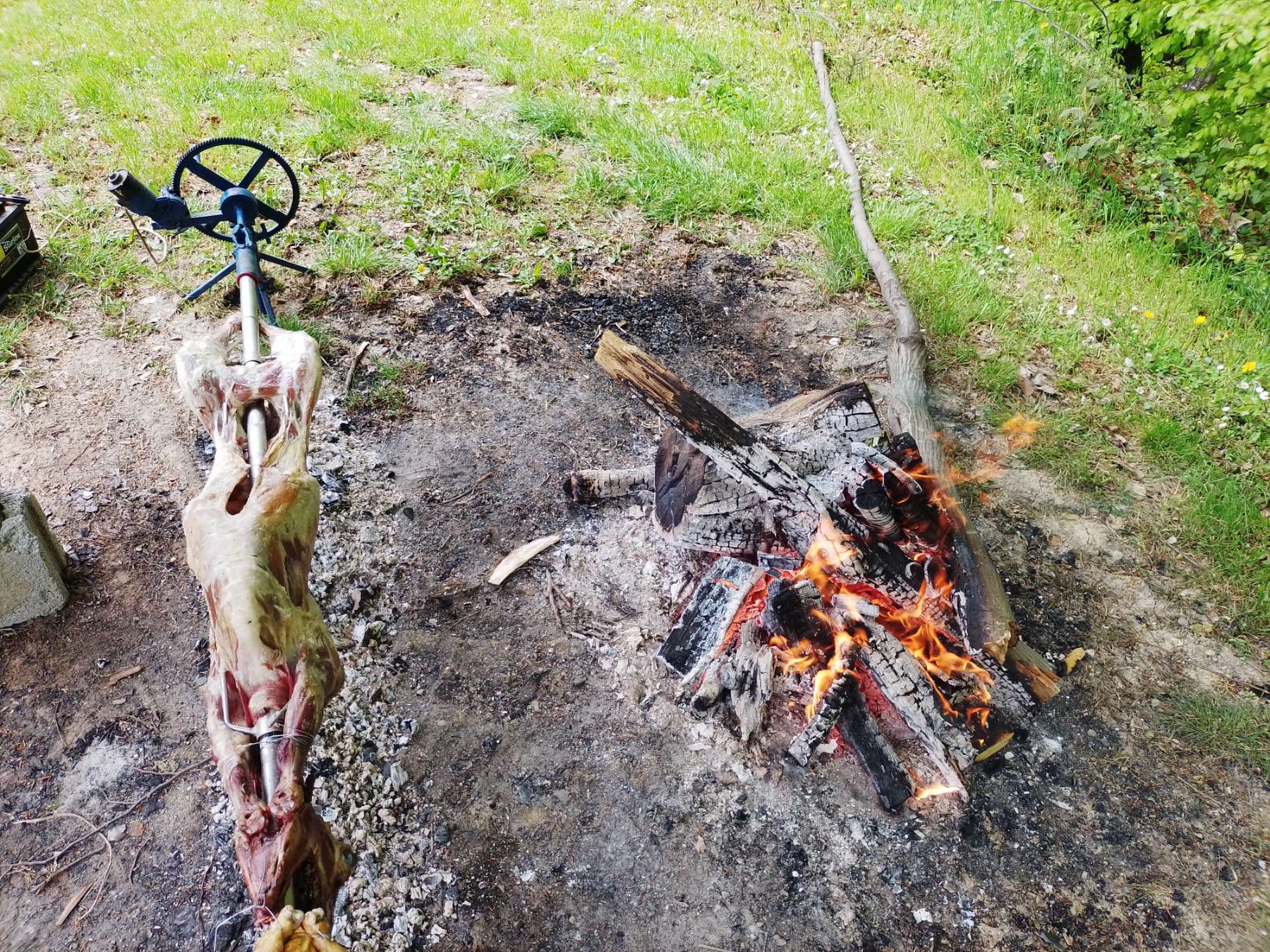Paprene cijene ubijaju draž prvomajske proslave: Janje od 15 kilograma košta minimalno 345 KM!