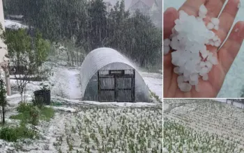 Olujno nevrijeme praćeno ledom i gradom protutnjalo dijelom Tuzle i napravilo ogromne štete (FOTO)