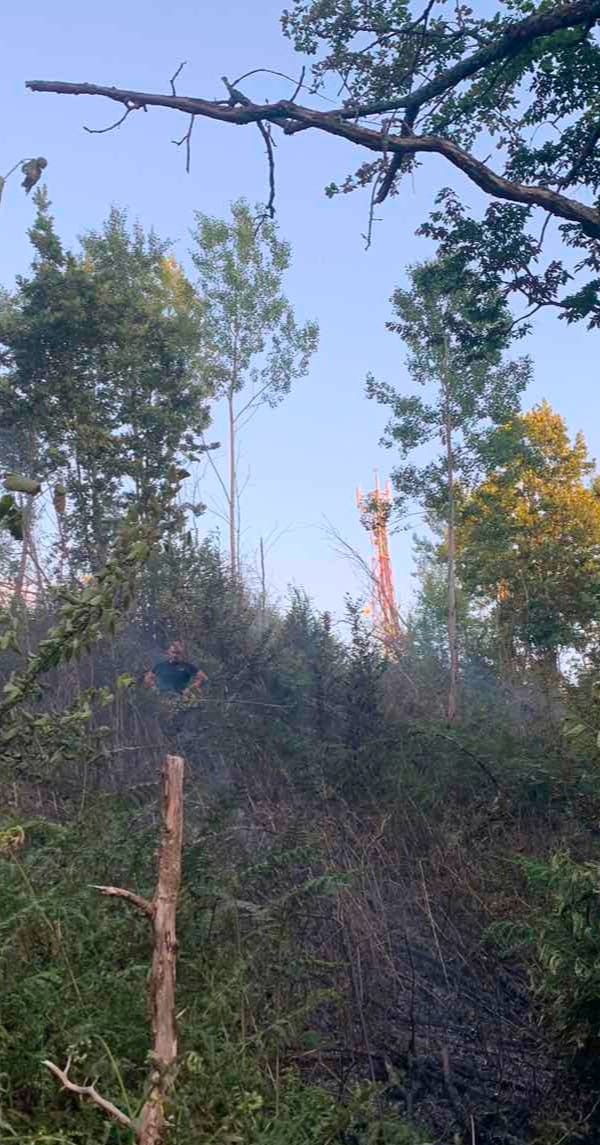 Šumski požar kod Bratunca nastao zbog spoja na dalekovodu (FOTO+VIDEO)