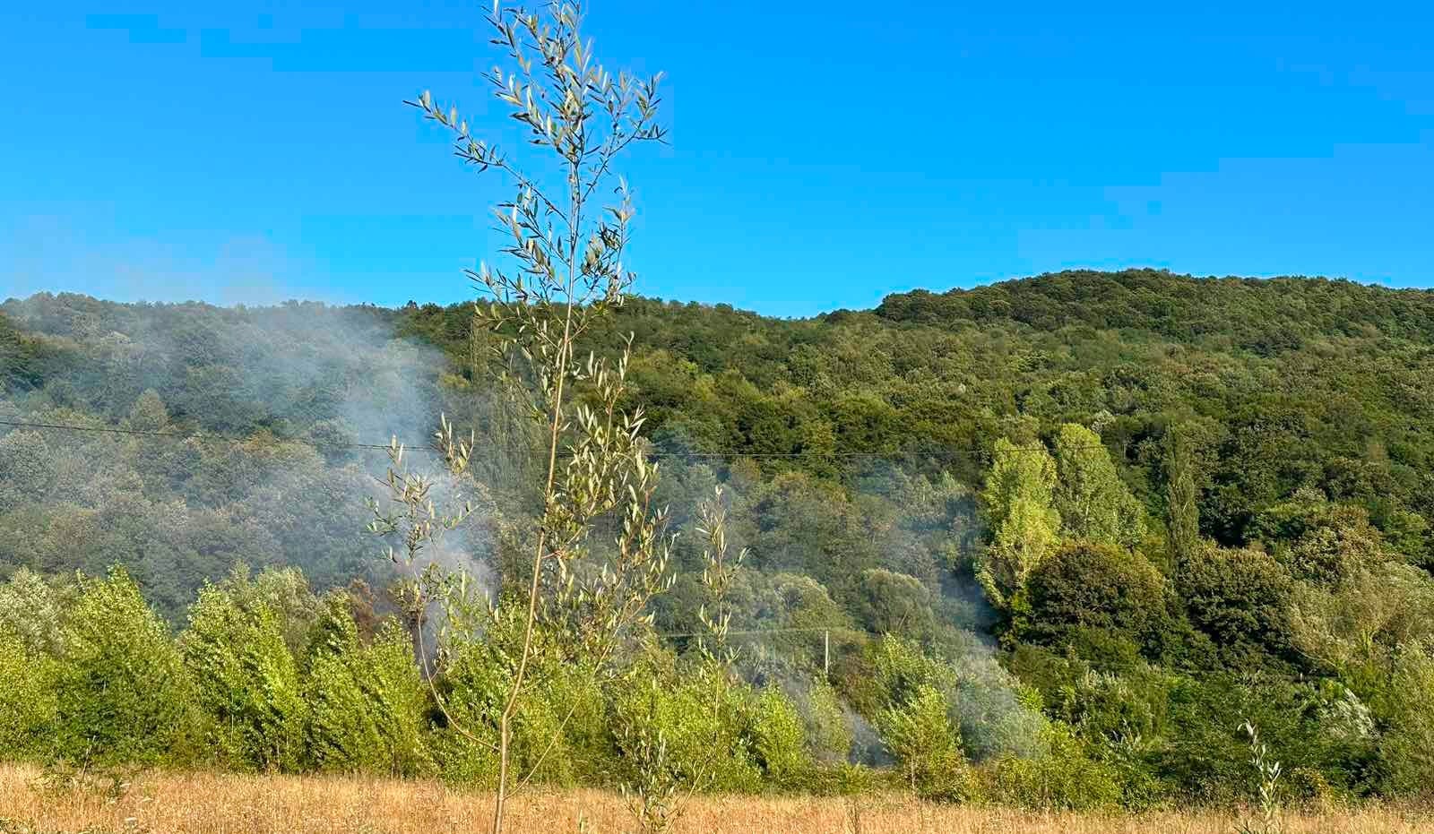 Požar u Bratuncu vatrogasci gasili više od tri sata kako bi spriješčili da vatra zahvati šumu (FOTO)