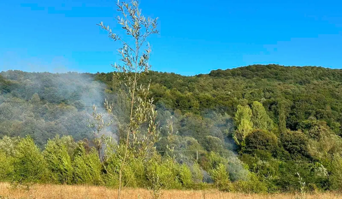 Požar u Bratuncu vatrogasci gasili više od tri sata kako bi spriješčili da vatra zahvati šumu (FOTO)
