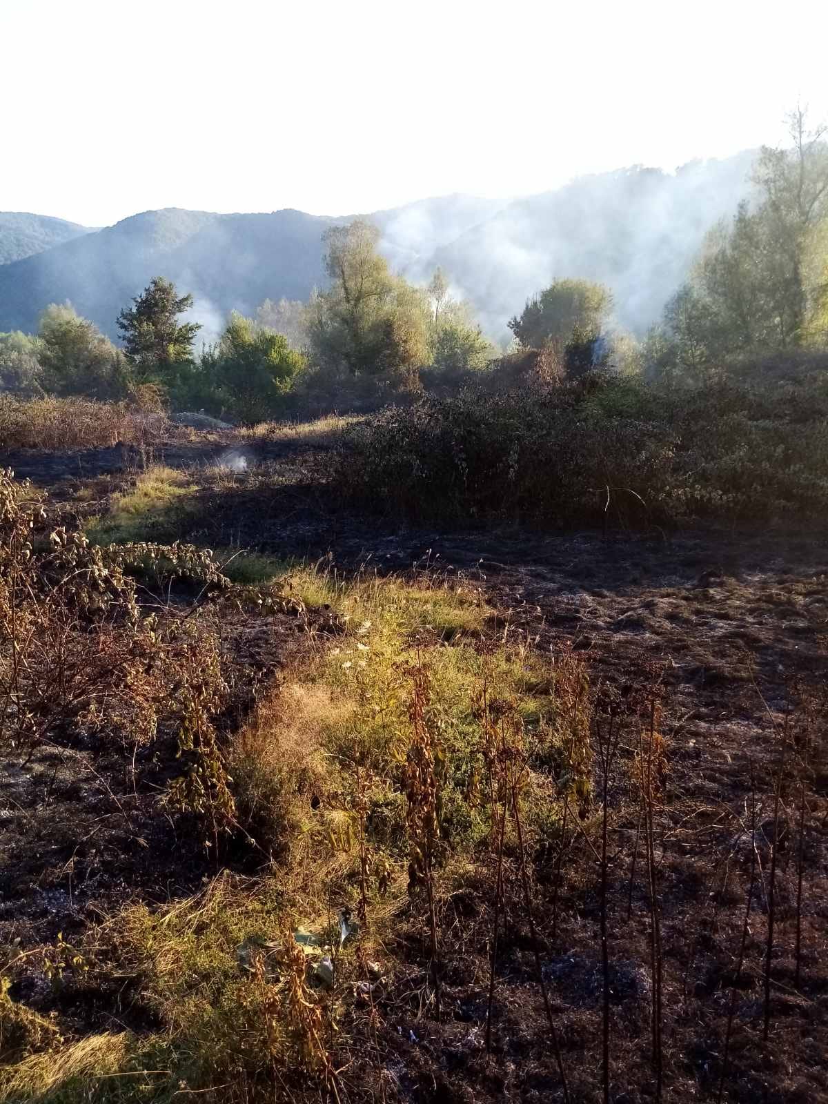 Požar u Bratuncu vatrogasci gasili više od tri sata kako bi spriješčili da vatra zahvati šumu (FOTO)