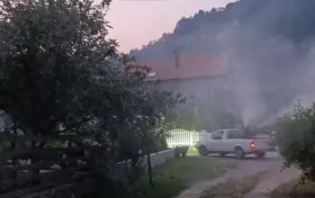Dezinsekcija komaraca na području Zvornika ove srijede i četvrtka