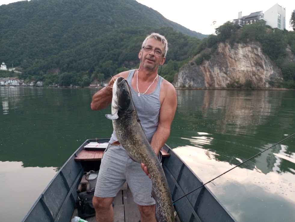 Još jedan atraktivan trofejni som upecan na Zvorničkom jezeru, sretne ruke i ovaj put bio Uzeir Dedić - Gele iz Diviča (FOTO)