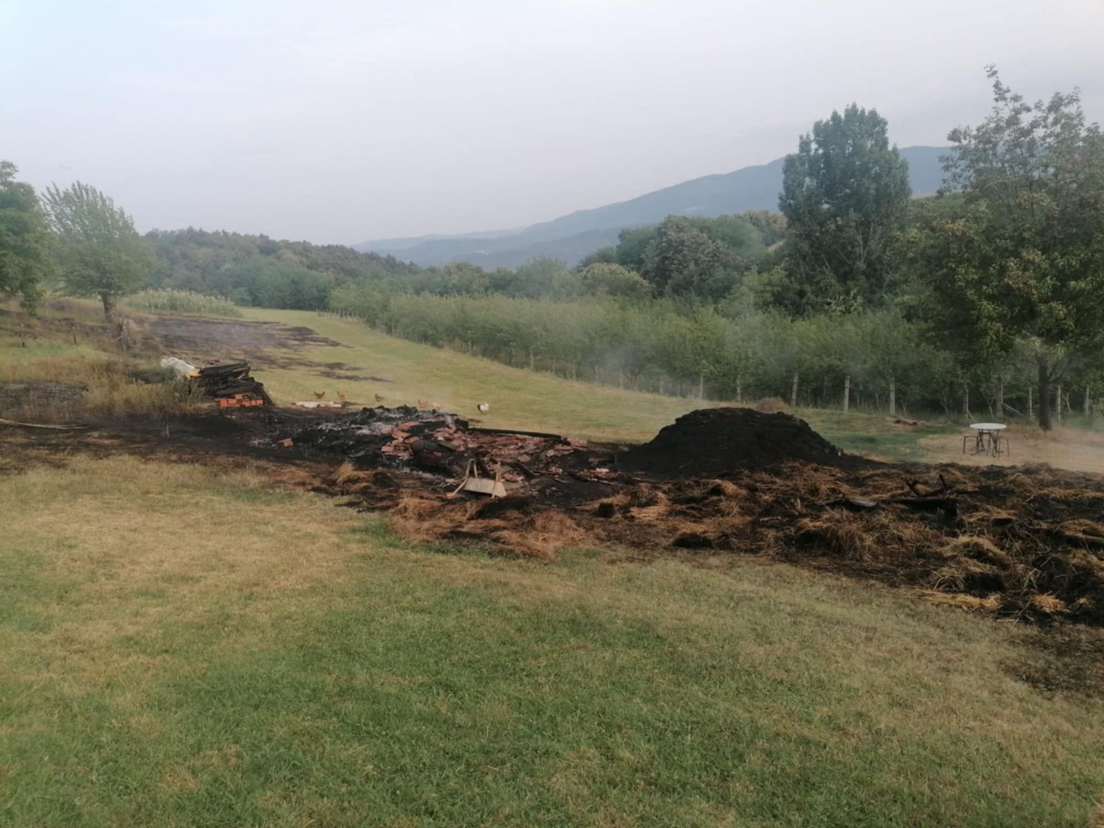 Požar u Gornjem Šepku progutao štalu i usmrtio kravu (FOTO)