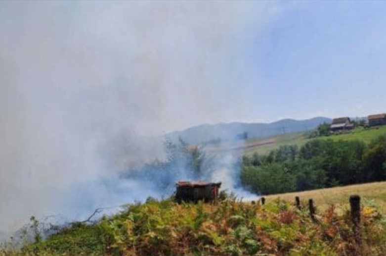 Dva lica smrtno stradala u požaru niskog rastinja kod Ljubovije (FOTO)